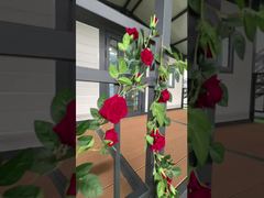 20피트 캐노피 접이식 하우스